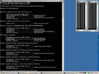 untitled.webp