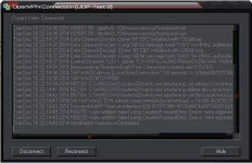 sasa.webp