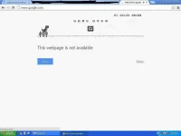 11.webp