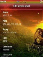 ariel.webp
