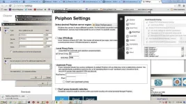 pearoxy3.webp