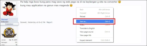 dwnloadpage'.webp