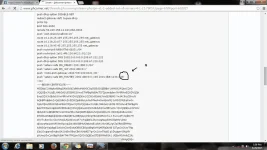 kots.webp