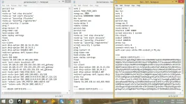 new4.webp