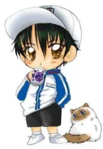 Ryoma-Echizen-prince-of-tennis-1119847_348_500.webp
