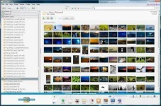 EaEl46e.webp EaEl46e.webp