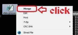 fl.webp fl.webp
