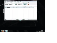 232.webp