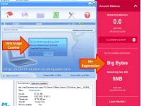 Bug Status.webp
