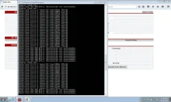Capture.webp