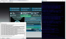 Capture.webp