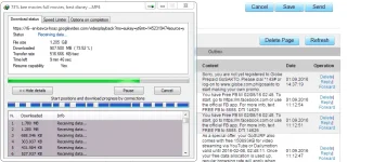 bug1.webp