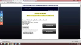 hss elite site.webp