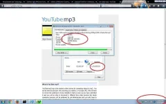 4.webp