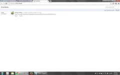 Downloads - Google Chrome.webp