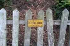 funny-electric-fence.webp