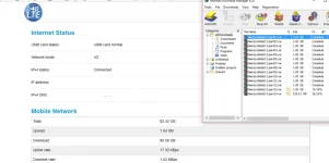 test11.webp