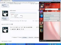 rwerwr.webp