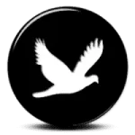 MAGPIE%2BLayers%2BTheme%2B15.8.webp