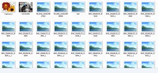 Capture.webp