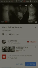 Screenshot_2016-03-11-06-11-00.webp