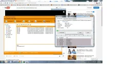 free wiki.webp
