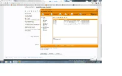 globe 1.webp