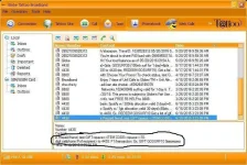 gift.webp