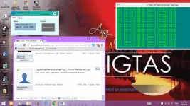 haste.webp