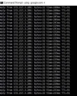 3.webp