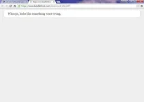 Woops2.webp