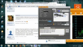 ss3.webp