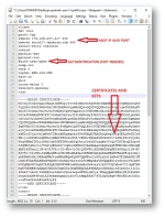 4.webp