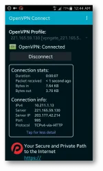 8.webp