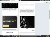pon1.webp
