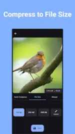 z992xl.webp