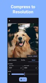 1lwlmo.webp