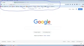 web developer 1.webp