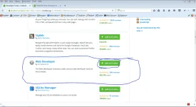 web developer.webp