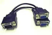 images.webp