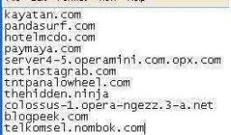 assaas.webp