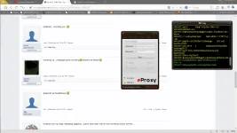 damotmo..webp