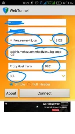downloadfile-1.webp