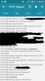 server3.webp