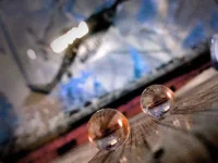PHC-Reflection.webp