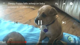 Screenshot_2016-10-03-14-00-51.webp