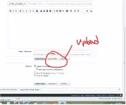 Untitled.webp