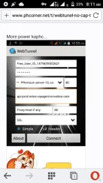 webtunell 1.webp