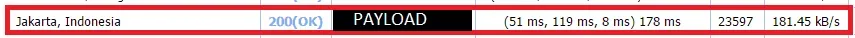 payload102.webp