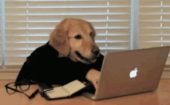 oie_5181838bU3HJXJp.gif oie_5181838bU3HJXJp.gif